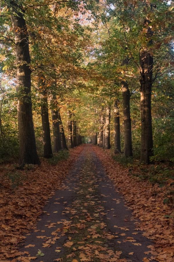 Villa Parkbos De Pinte Bagian luar foto
